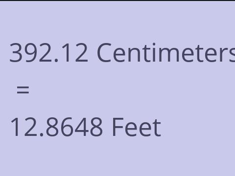 392.12 CM TO FEET