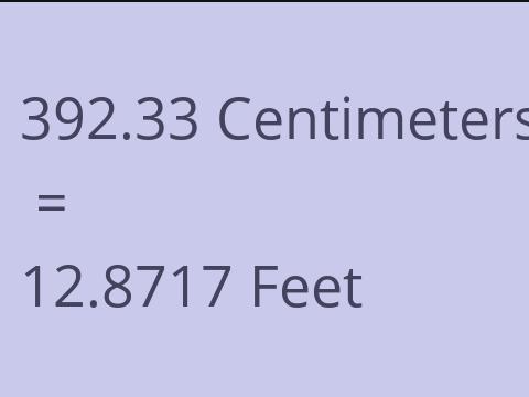 392.33 CM TO FEET