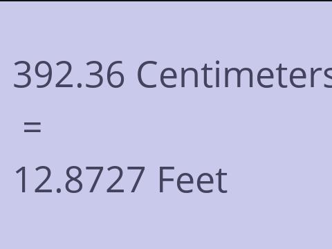 392.36 CM TO FEET