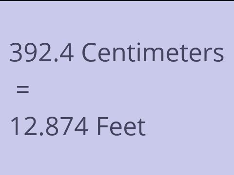 392.4 CM TO FEET