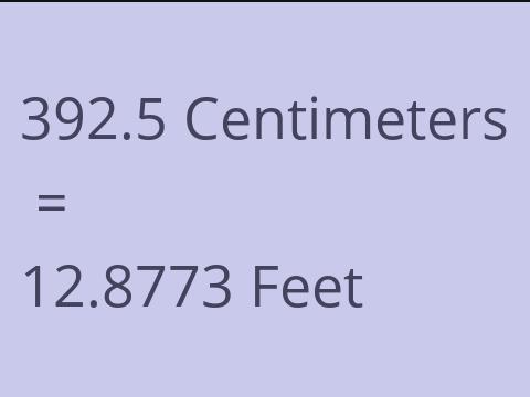 392.5 CM TO FEET