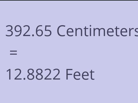 392.65 CM TO FEET