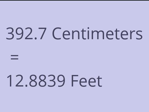 392.7 CM TO FEET