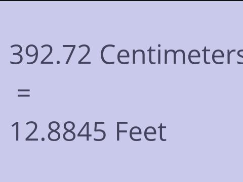 392.72 CM TO FEET