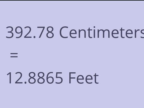 392.78 CM TO FEET