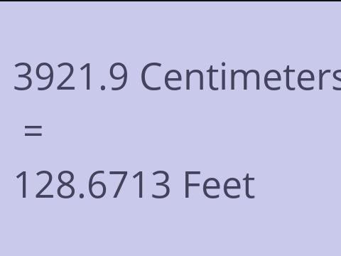 3921.9 CM TO FEET