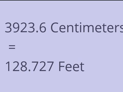 3923.6 CM TO FEET