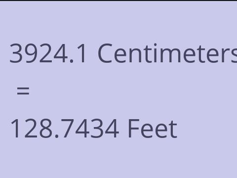 3924.1 CM TO FEET