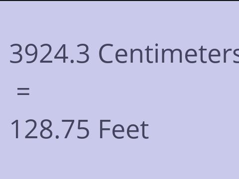 3924.3 CM TO FEET