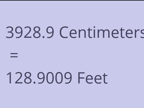 3928.9 CM TO FEET