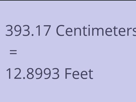 393.17 CM TO FEET