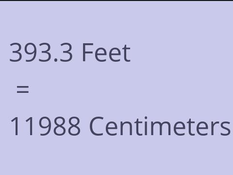 393.3 FEET TO CM