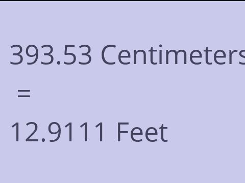 393.53 CM TO FEET