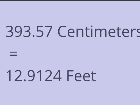 393.57 CM TO FEET