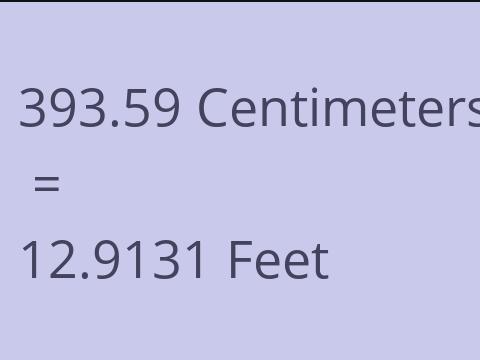 393.59 CM TO FEET