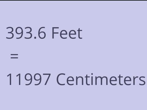 393.6 FEET TO CM