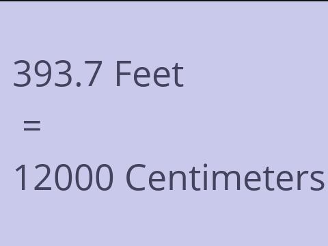 393.7 FEET TO CM