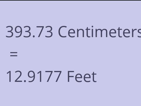 393.73 CM TO FEET