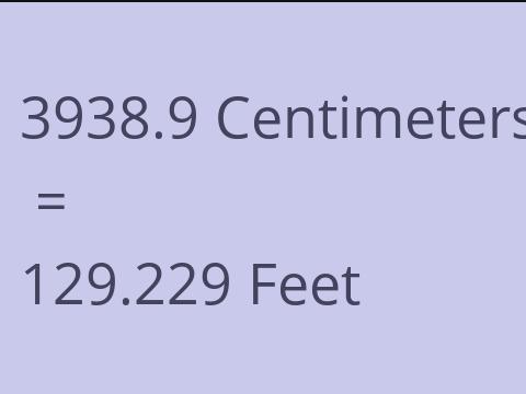 3938.9 CM TO FEET