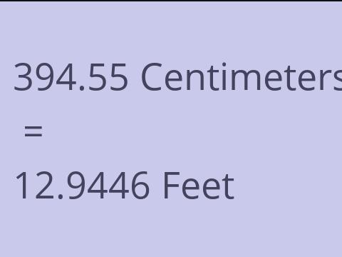 394.55 CM TO FEET