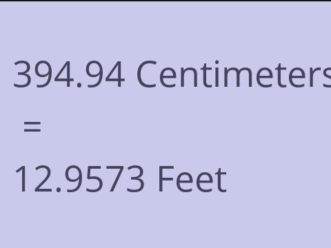 394.94 CM TO FEET