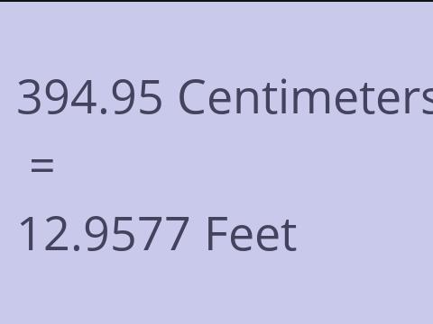 394.95 CM TO FEET