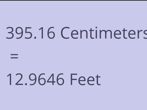 395.16 CM TO FEET