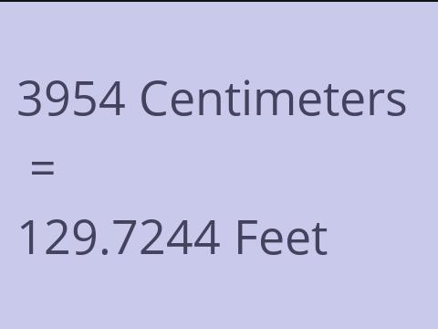3954 CM TO FEET