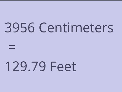 3956 CM TO FEET