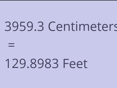 3959.3 CM TO FEET