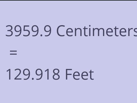 3959.9 CM TO FEET