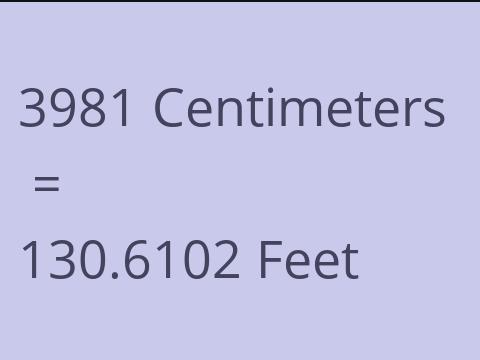 3981 CM TO FEET