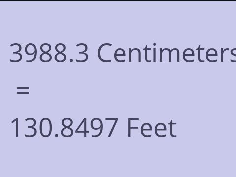 3988.3 CM TO FEET
