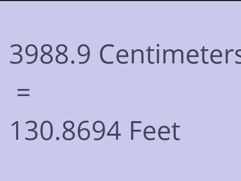 3988.9 CM TO FEET
