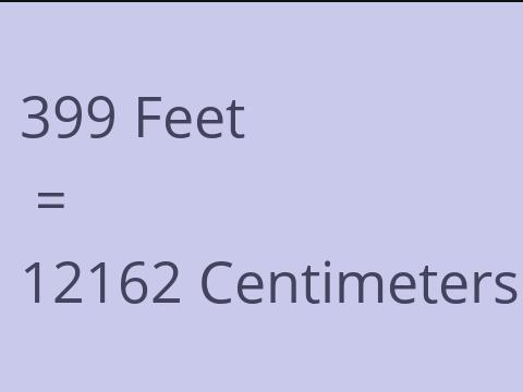 399 FEET TO CM