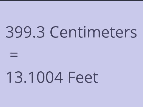 399.3 CM TO FEET