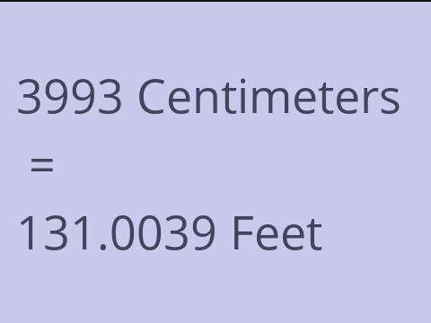 3993 CM TO FEET