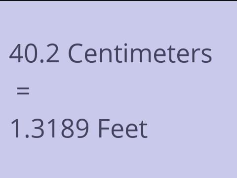 40.2 CM TO FEET