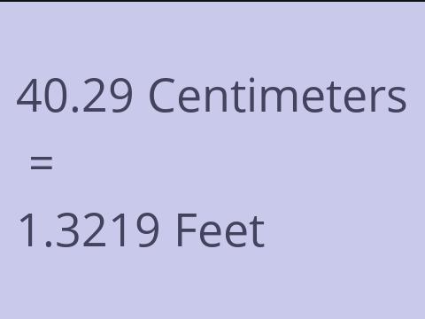 40.29 CM TO FEET