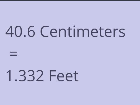 40.6 CM TO FEET