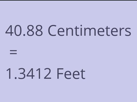 40.88 CM TO FEET