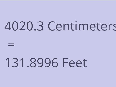 4020.3 CM TO FEET