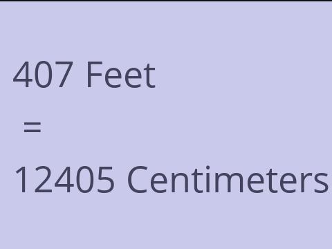 407 FEET TO CM