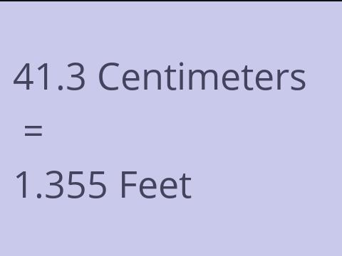 41.3 CM TO FEET