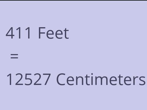 411 FEET TO CM