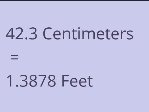 42.3 CM TO FEET