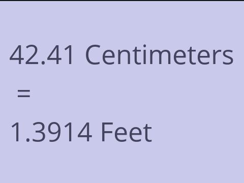 42.41 CM TO FEET