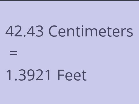 42.43 CM TO FEET