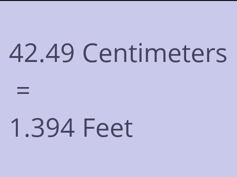 42.49 CM TO FEET