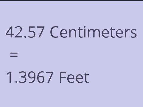 42.57 CM TO FEET